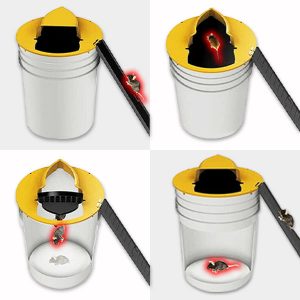 Μια παγίδα για ποντίκια και αρουραίους 03