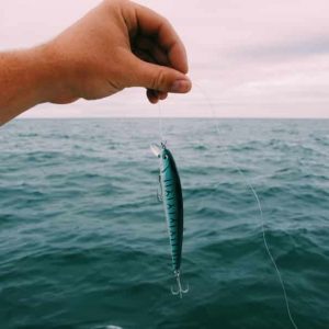 3D Fish Bait – Ρεαλιστικό δόλωμα ψαριών 03