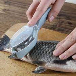 Fish scale remover – Αφαίρεση κλίμακας ψαριού 03